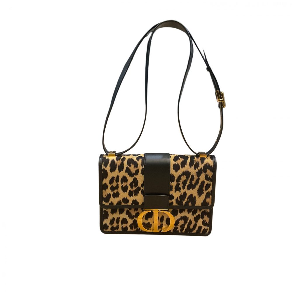 Sac Dior