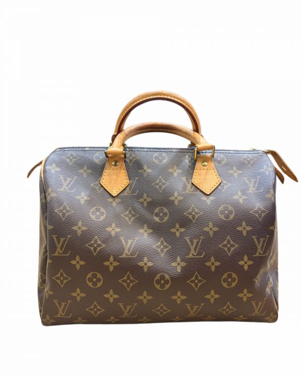 Sac Louis Vuitton